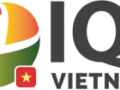Logo-_IQI